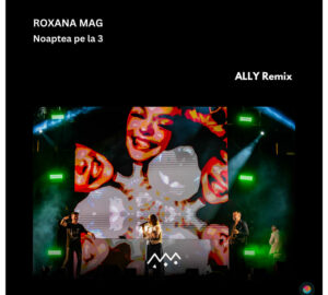 248.Roxana Mag Noaptea pe la 3 ALLY Remix Cover